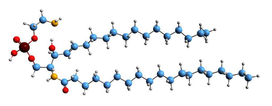 3D image of Ceramide phosphorylethanolamine skeletal formula - molecular chemical structure of sphingosine isolated on white background
