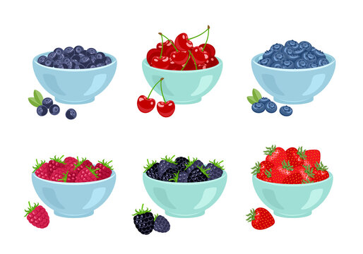 Set of different berry in bowls. Vector cartoon illustration of raspberry, strawberry, blueberry, cherry, bilberry and blackberry.