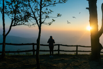 Young traveler woman on the mountain with sunrise and trees landscape scenery in the morning.
