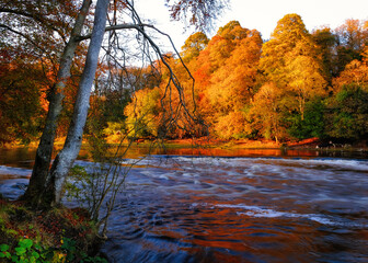 Scenic river rapids in golden autumn