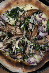 Pizza background. Closeup view of a pizza with mushrooms, spinach, mozzarella and parmesan cheese,  fresh in the pizza pan. 