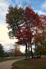 paisagem do outono na América