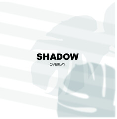 leaf shadow  on wall  with overlay effect