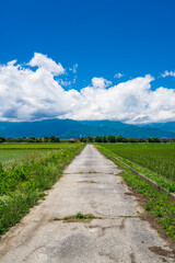 初夏の青空と田園風景