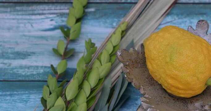 Jewish holiday of symbols the festival Sukkot with etrog lulav hadas arava