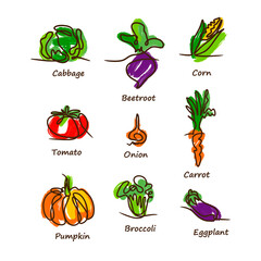 Vegetable set. Cabbage, beetroot, corn, tomato, onion, carrot, pumpkin, broccoli, eggplant