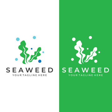 Seaweed Logo With Template Illustration Vector Design.