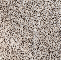 background of peeled sunflower seeds, top view