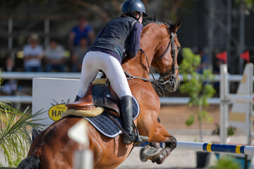 The rider on horseback overcomes the obstacle during the equestrian event