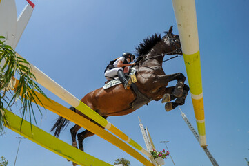 The rider on horseback overcomes the obstacle during the equestrian event