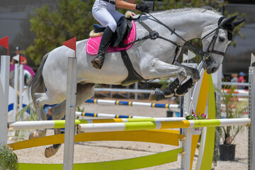 The rider on horseback overcomes the obstacle during the equestrian event
