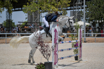 The rider on horseback overcomes the obstacle during the equestrian event