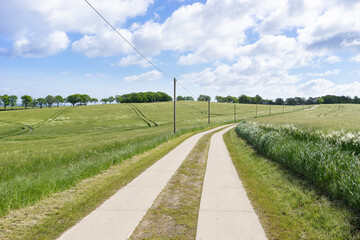 Feldweg mit Telefonmasten im Getreidefeld