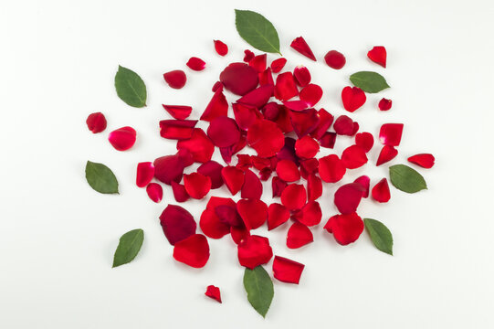 A pile of rose petals and leaves on a bright background. Top view.