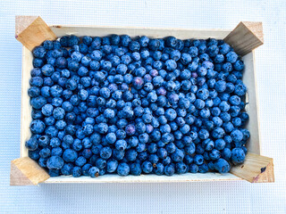 blueberries in a box