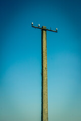light pole on blue sky