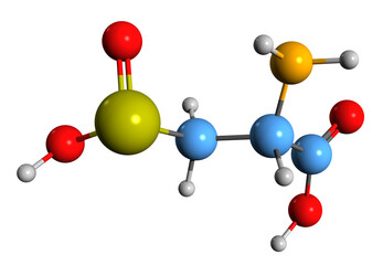 3D image of Cysteine sulfinic acid skeletal formula - molecular chemical structure of  amino acid isolated on white background