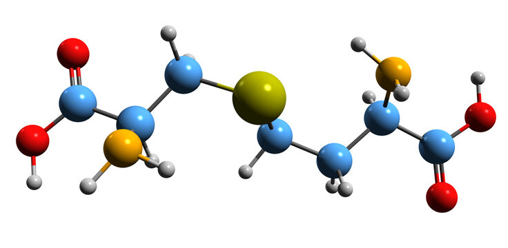 3D image of Cystathionine skeletal formula - molecular chemical structure of cysteine synthesis intermediate isolated on white background