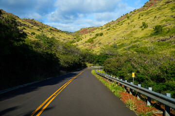 Curves on Kokee road leading up to the Waimea Canyon on Kauai island, Hawaii