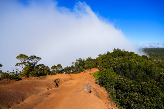 Clouds coming from the Pacific Ocean covering the forest at the Kaluapuhi trailhead in the Koke'e State Park on Kauai island, Hawaii