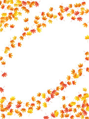 Maple leaves vector background, autumn foliage on white graphic design.