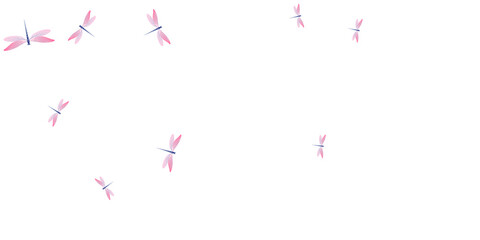 Fairy rosy pink dragonfly isolated vector background. Spring colorful damselflies. Decorative dragonfly isolated girly wallpaper. Delicate wings insects patten. Garden creatures