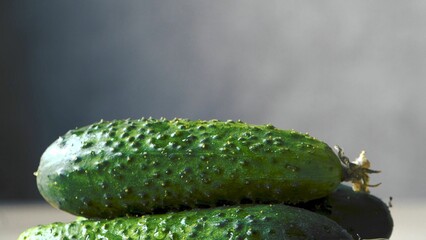 Green fresh cucumbers. Vegetables rotate. Fresh harvest. Vegan. Healthy food. Vegetables vitamins. Small sizes. Close-up. Light background.