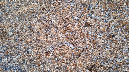 Sandy seashore. The texture of the sand. Summer vacation spot. Desert. Free space. Close-up. View from above