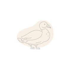  duck bird sketch vector illustration 