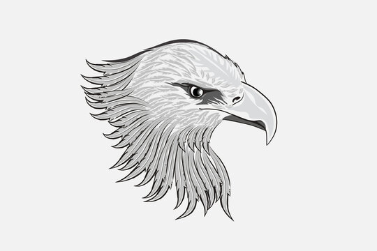 Bald Eagle Sketching Symbol Icon Logo tattoo Vector Image Design Illustration