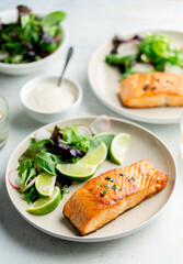Grilled salmon fillet and fresh vegetable salad. Mediterranean diet. 