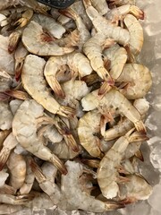 dried squid in the market
