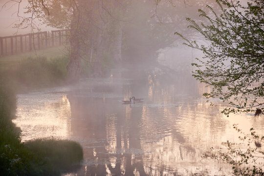 Pair of canadian geese swimming in a creek in early morning fog, rural Kentucky.