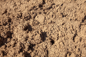 Dry dirt soil. Loose and dry soil ground. 