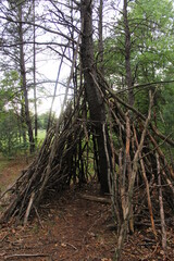 teepee in the forest