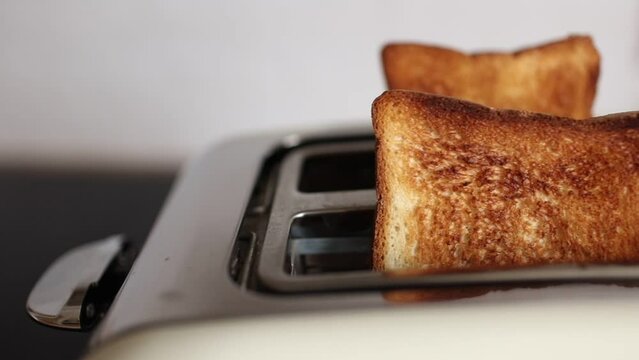 Roasted bread in white toaster. two delicious and toaster toasts. the process of frying toasts.