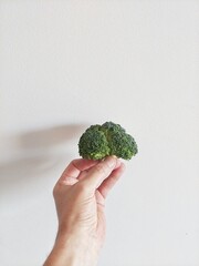 Fototapeta na wymiar broccoli in hand