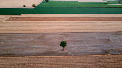 Campi di grano dal drone