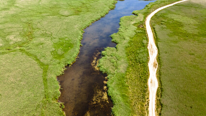 Top view of forest and river with drone. Lush forest, reeds and river. Colors of nature.