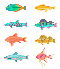 Red zebra and jewel cichlid set of tropical fish. Colorful cold-blooded animals of marine and ocean environment, isolated on vector illustration