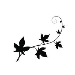 Black silhouette of an ivy branch. Botanical art. Simple vector illustration.