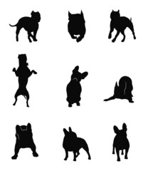 Silhouettes of fighting dogs in different positions. Commands sit, lie down, doll, play, run. American Staffordshire Terrier, Pit Bull and French Bulldog. Set.