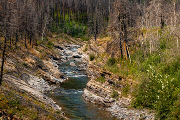 Crandell Lake Trail Waterton Lakes National Park Alberta Canada