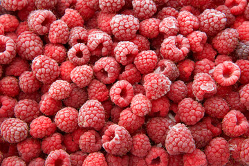 Above top view of fresh home grown raspberries, frozen. Freezer frost on fruit.