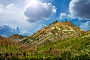 Middle Waterton Lake Waterton Lakes National Park Alberta Canada