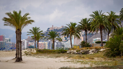 Fototapeta na wymiar Panoramic view of the castle of the city of Cullera with palm trees in the foreground