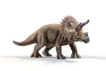 Rolgordijnen Dinosaurus triceratops dinosaur 3d rendering on white background