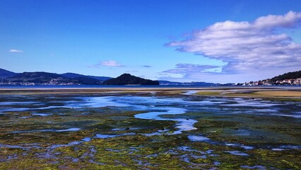 Humedal en Poio, Galicia