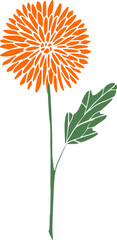 Orange Mums Flower Leaf Illustration