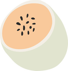 Orange Melon Fruit Illustration